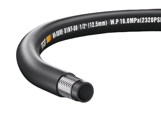 88038ÍþÄá˹(Öйú)ÓÐÏÞ¹«Ë¾¹ÙÍø